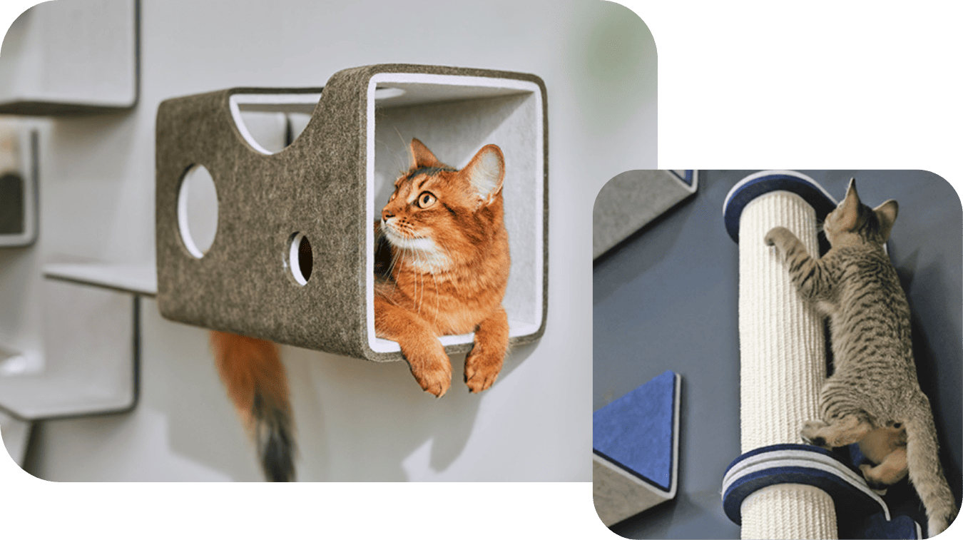 猫壁の取り付けイメージ