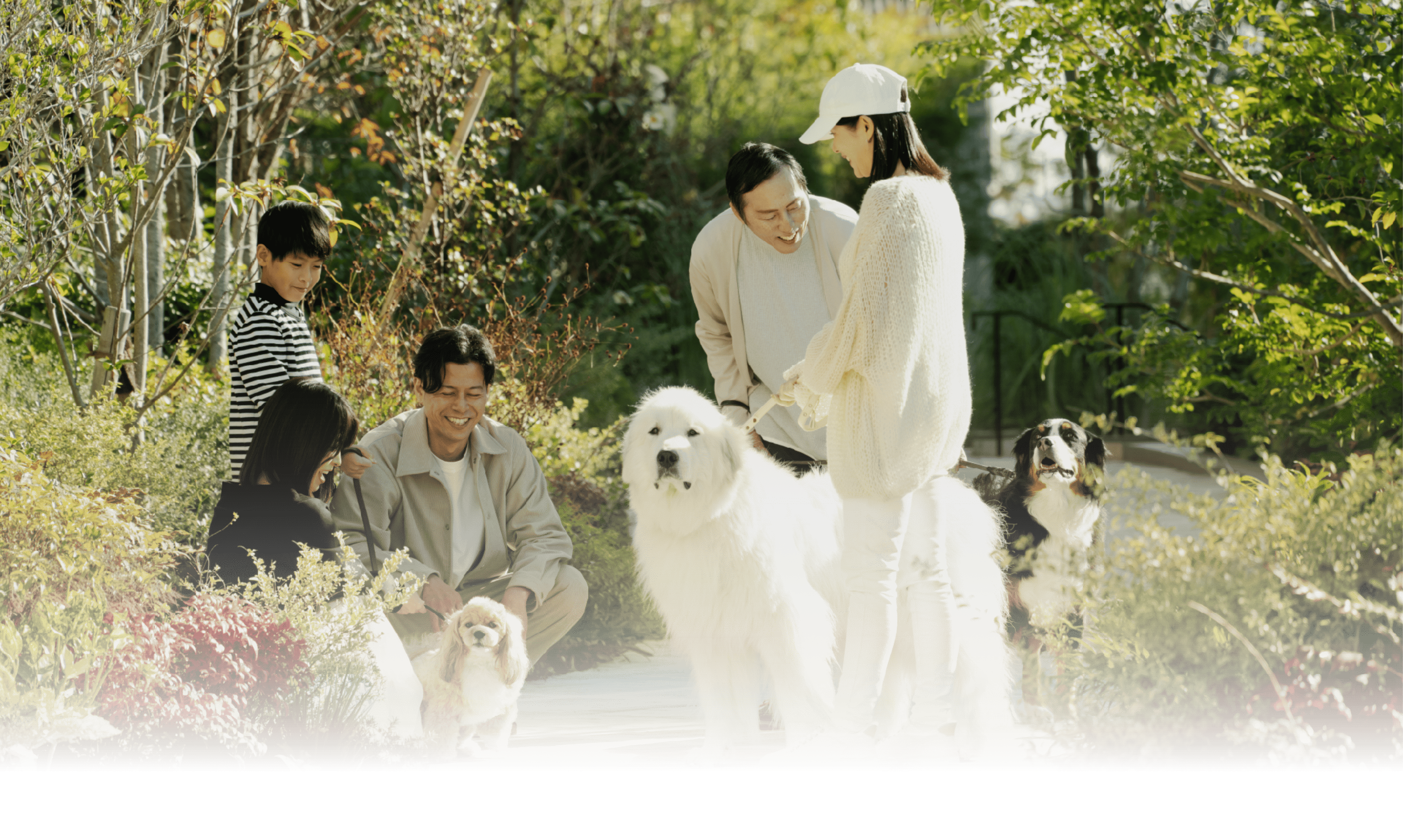 わんちゃん、ねこちゃんの写真