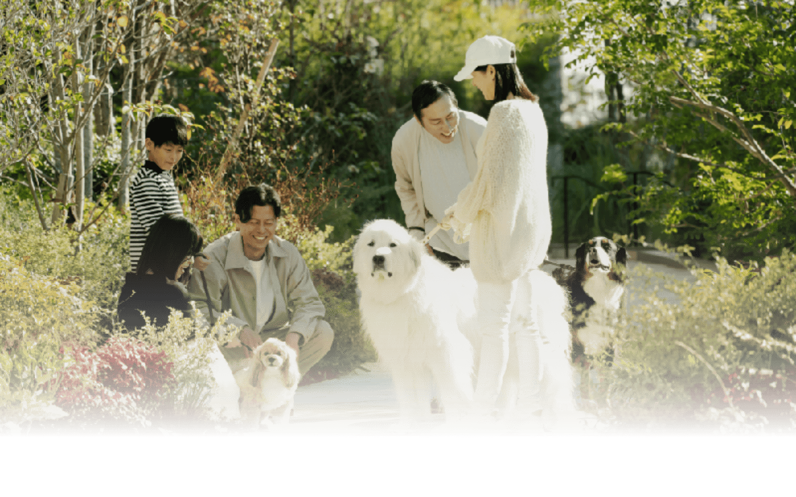 わんちゃん、ねこちゃんの写真