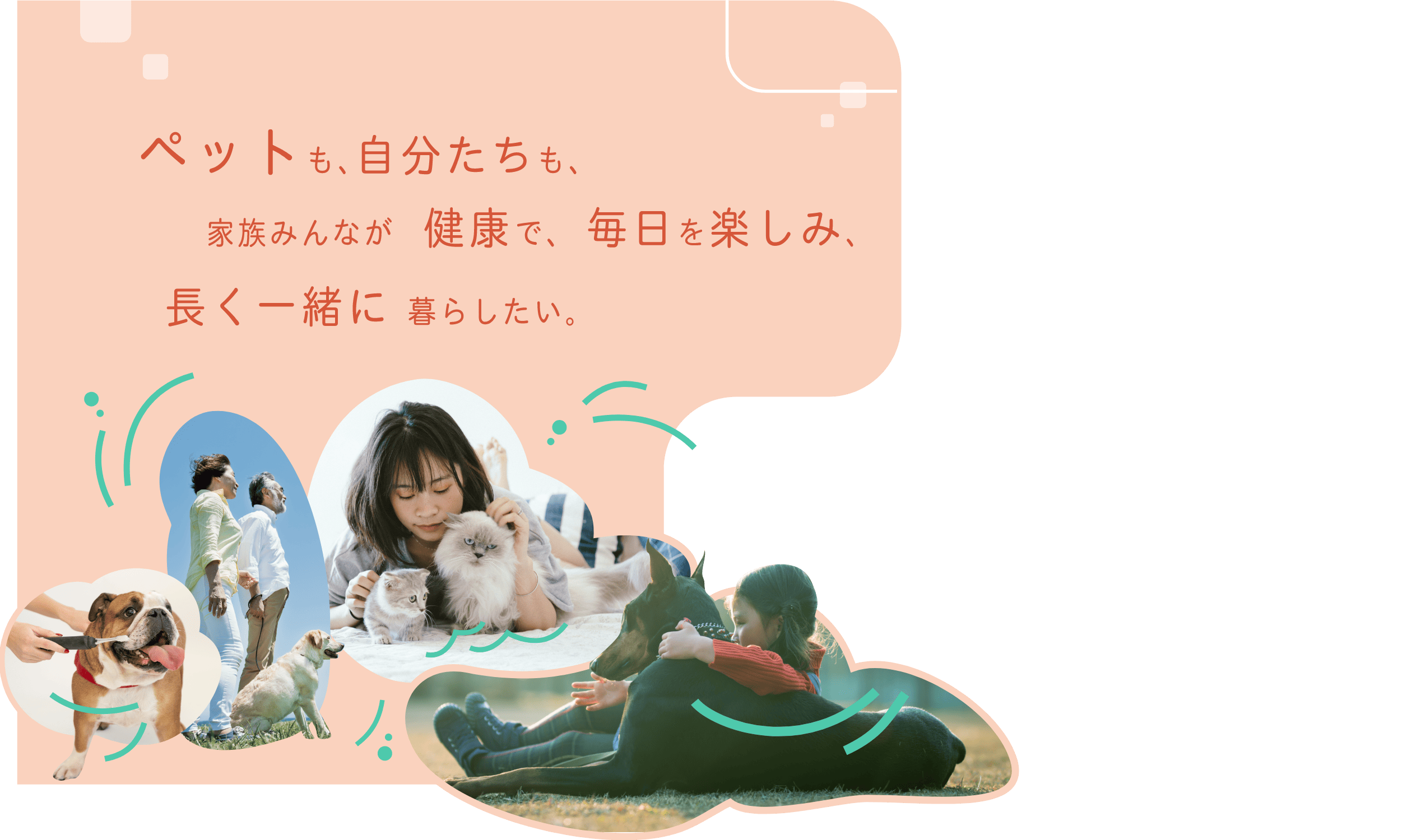 ペットも、自分たちも、家族みんなが、健康で、毎日の生活を楽しみ、長く一緒に暮らせる世の中をつくりたい