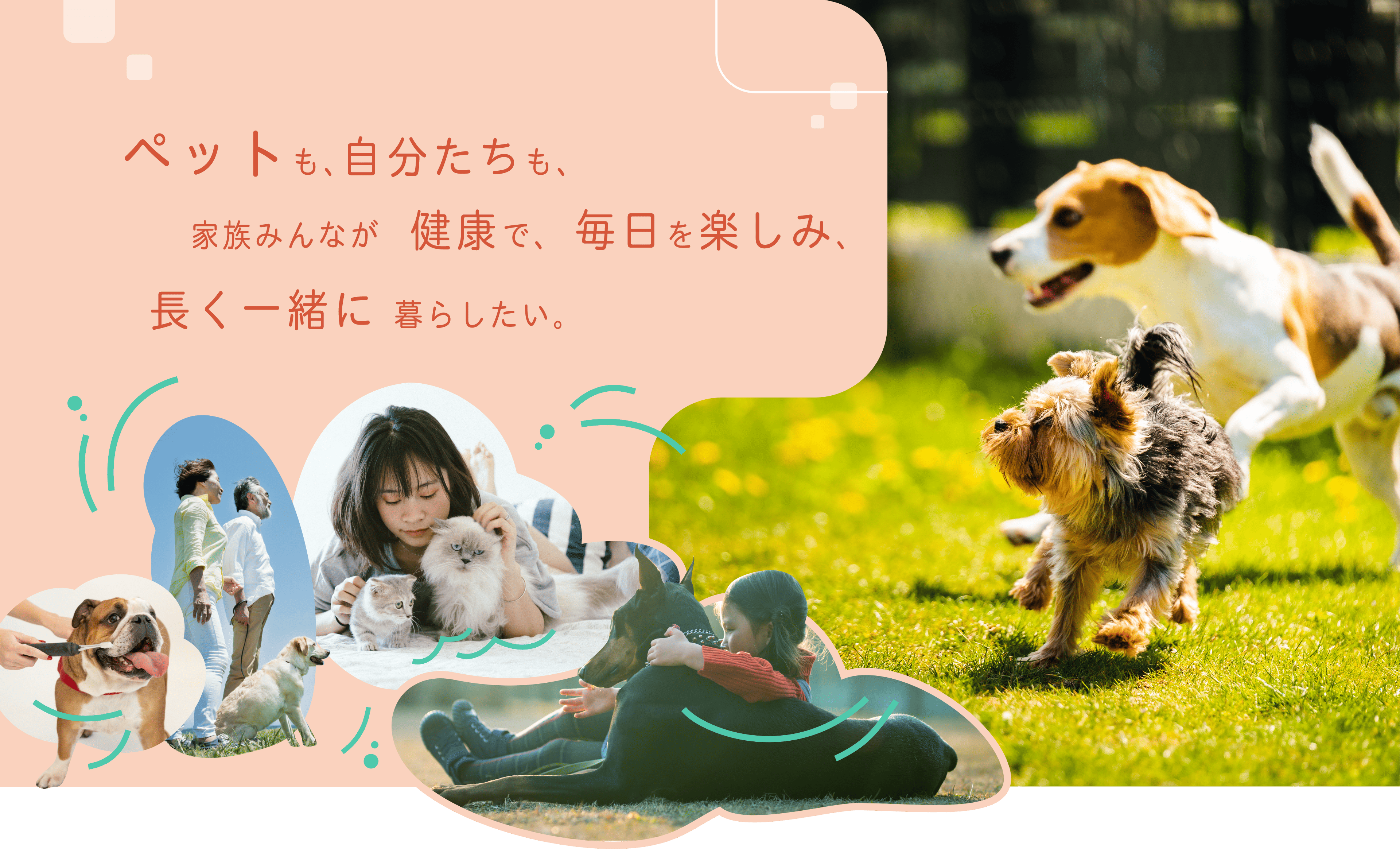 ペットも、自分たちも、家族みんなが、健康で、毎日の生活を楽しみ、長く一緒に暮らせる世の中をつくりたい