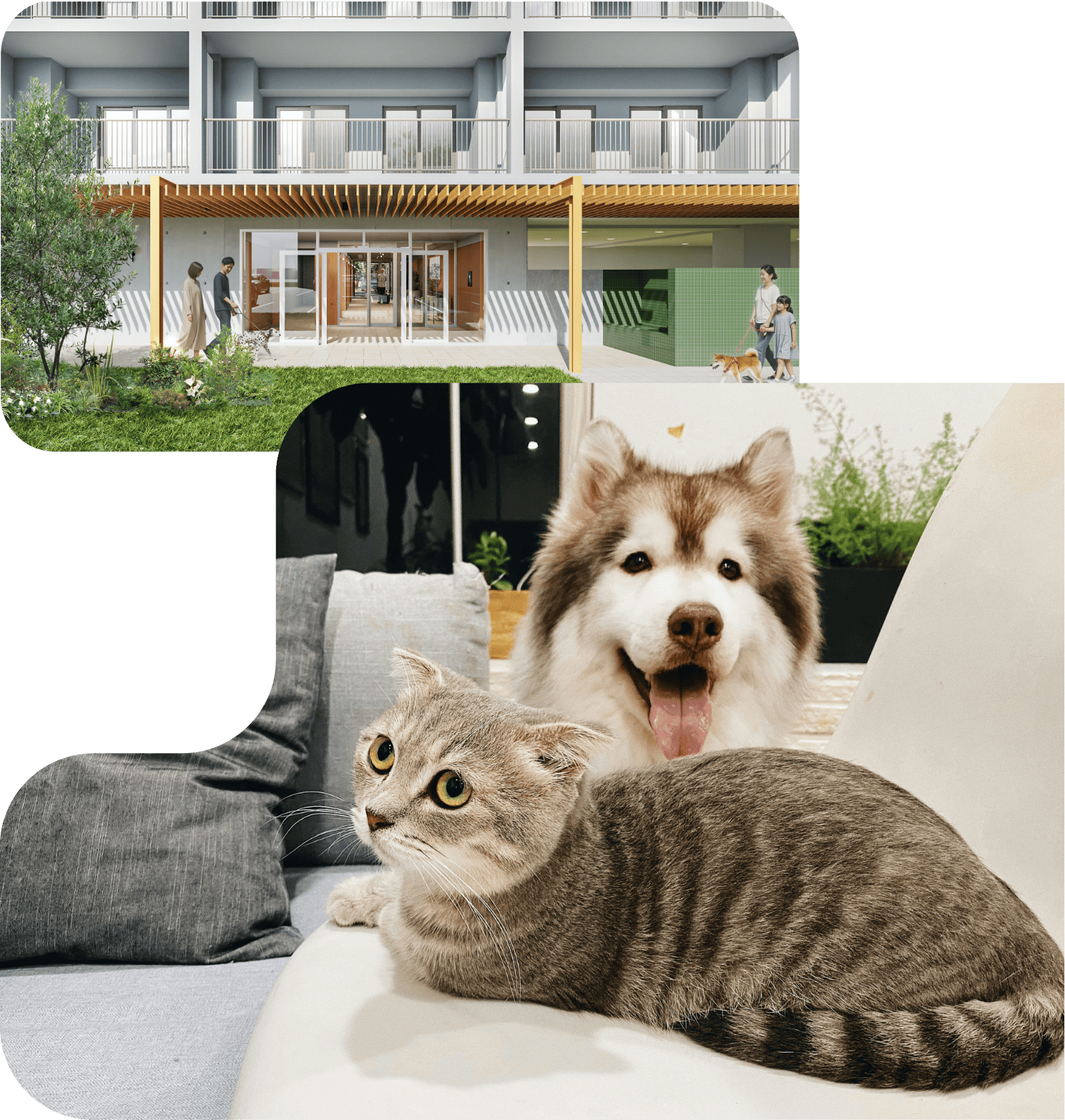 ペット共生の共用施設