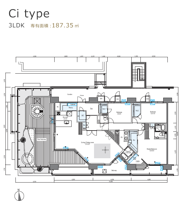 B1type